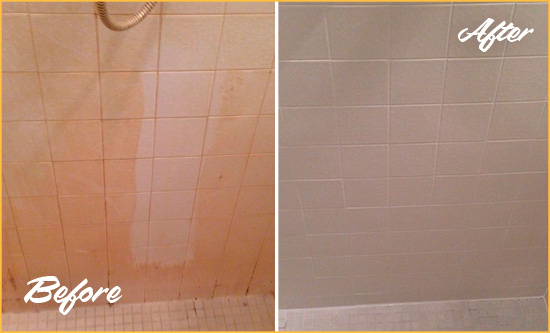 Before and After Picture of a Prospect Heights Porcelaine Shower Cleaned to Remove Soap Scum